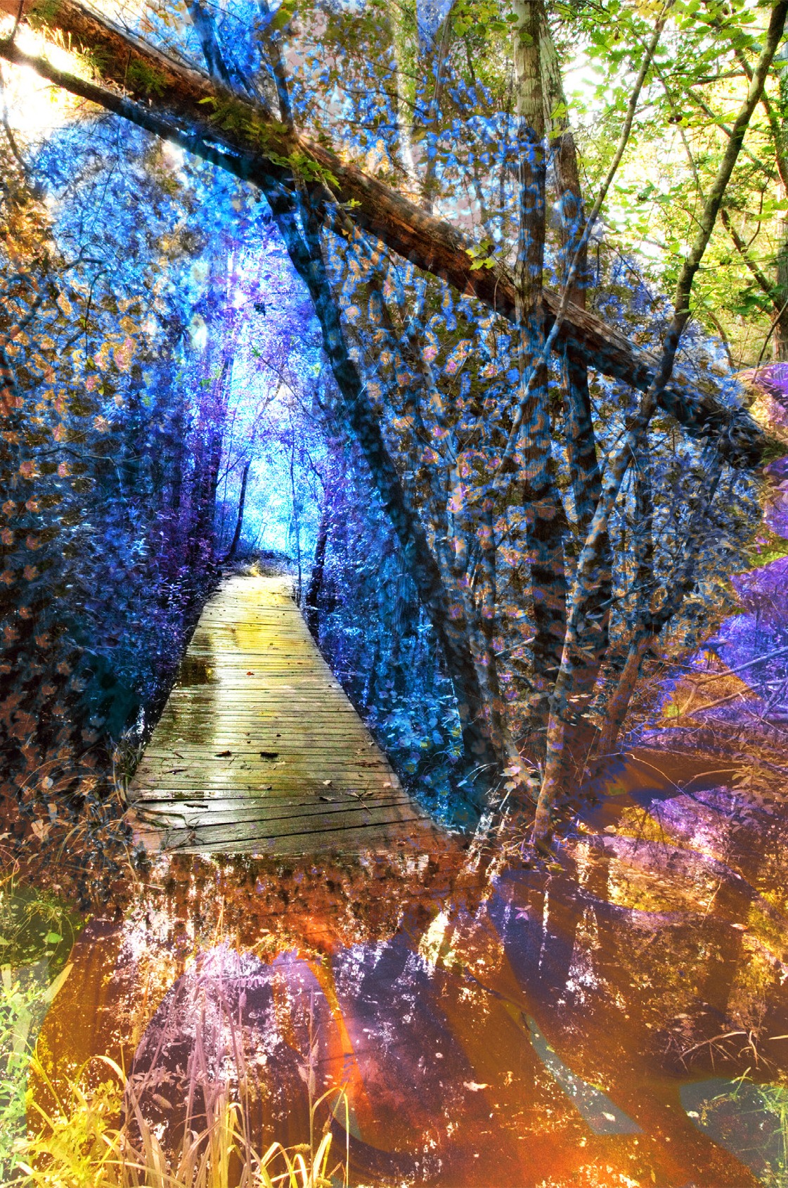 decorative image of jane_costlow , Addy Winners Scholorship 2013-09-20 11:46:52