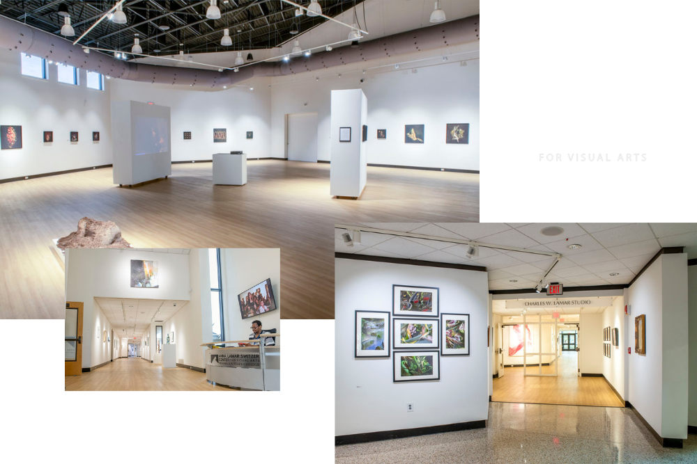decorative image of galleries2 , Gallery 2 2025-10-07 10:46:33